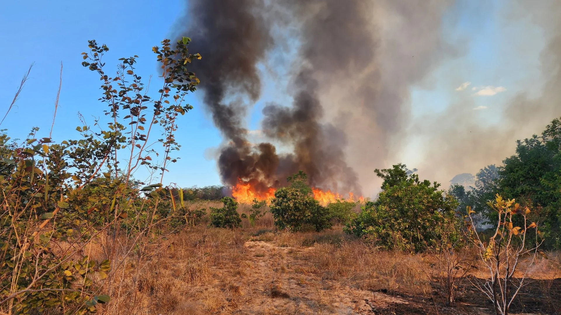 Maranhão contabiliza mais de 9 mil focos de incêndio